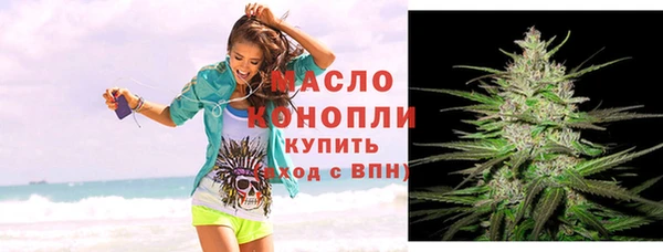 дмт Богородицк