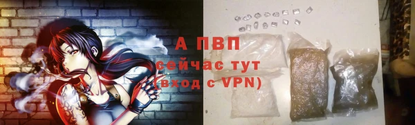 амф Богданович