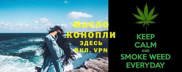 дмт Богородицк