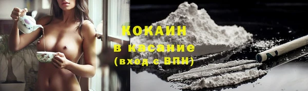 дмт Богородицк