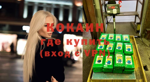 дмт Богородицк