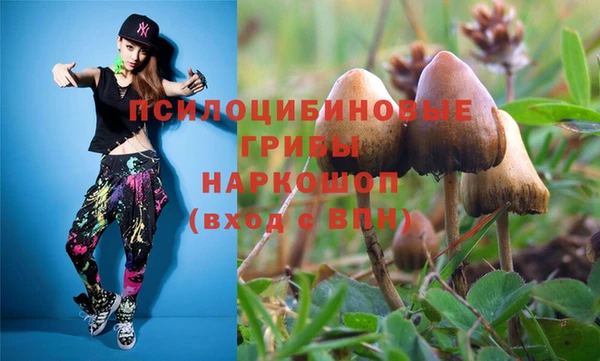 амф Богданович