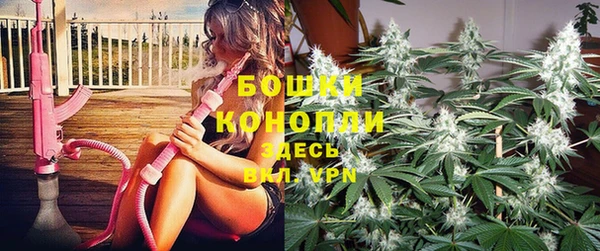амф Богданович