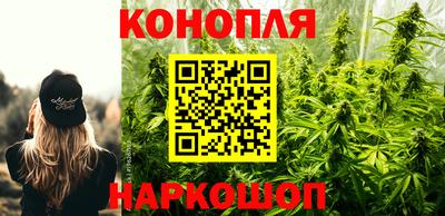 МДПВ Сланцы