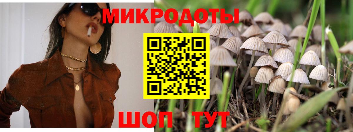 Свободный  Галлюциногенные грибы Cubensis  Вход с VPN 